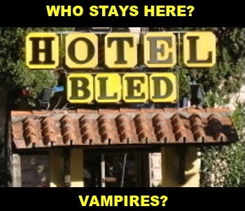 Picture of a hotel called "Hotel Bled" with caption: "Who stays here? Vampires?"