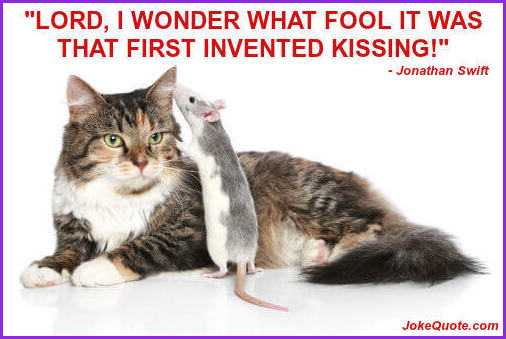 Photo: Mouse whispering in reclining cat's ear. Caption: "Lord I wonder what fool it was that first invented kissing!" - (Jonathan Swift)